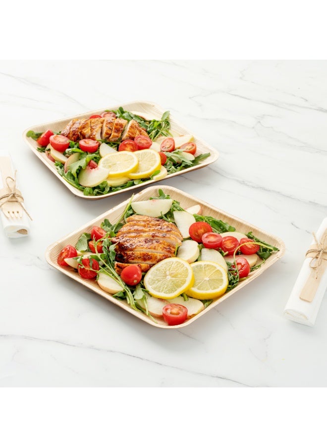 Restaurantware Indo 9.3 x 9.3 Inch Square Palm Plates, 100 Microwavable Palm Leaf Dinner Plates - Freezable, Sustainable, Areca Palm Leaf Plates, Oven-Ready, For Hot & Cold Foods - Image 3