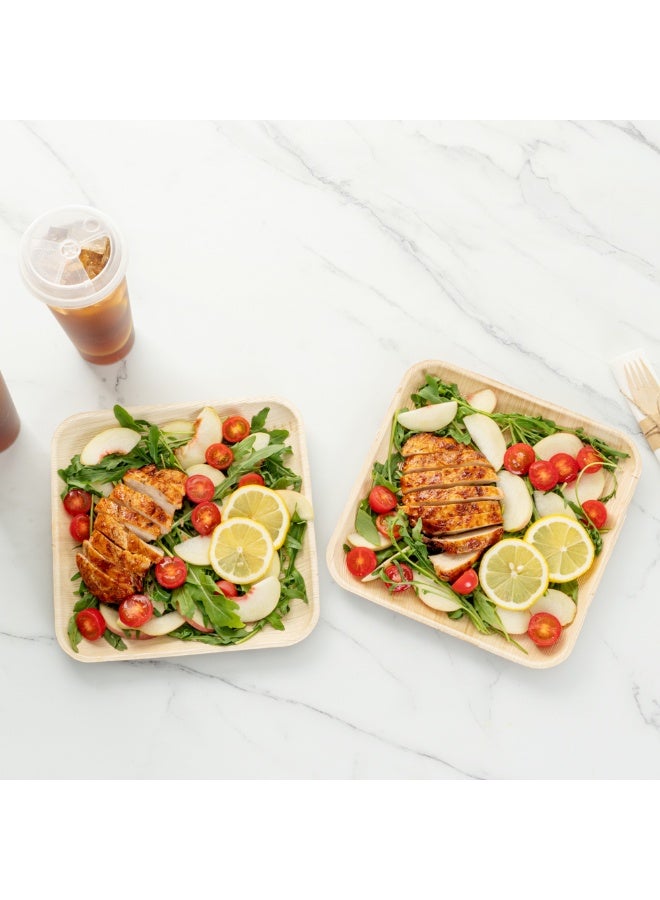 Restaurantware Indo 9.3 x 9.3 Inch Square Palm Plates, 100 Microwavable Palm Leaf Dinner Plates - Freezable, Sustainable, Areca Palm Leaf Plates, Oven-Ready, For Hot & Cold Foods - Image 5
