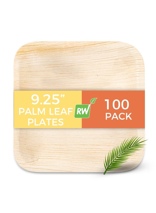 Restaurantware Indo 9.3 x 9.3 Inch Square Palm Plates, 100 Microwavable Palm Leaf Dinner Plates - Freezable, Sustainable, Areca Palm Leaf Plates, Oven-Ready, For Hot & Cold Foods - Image 2