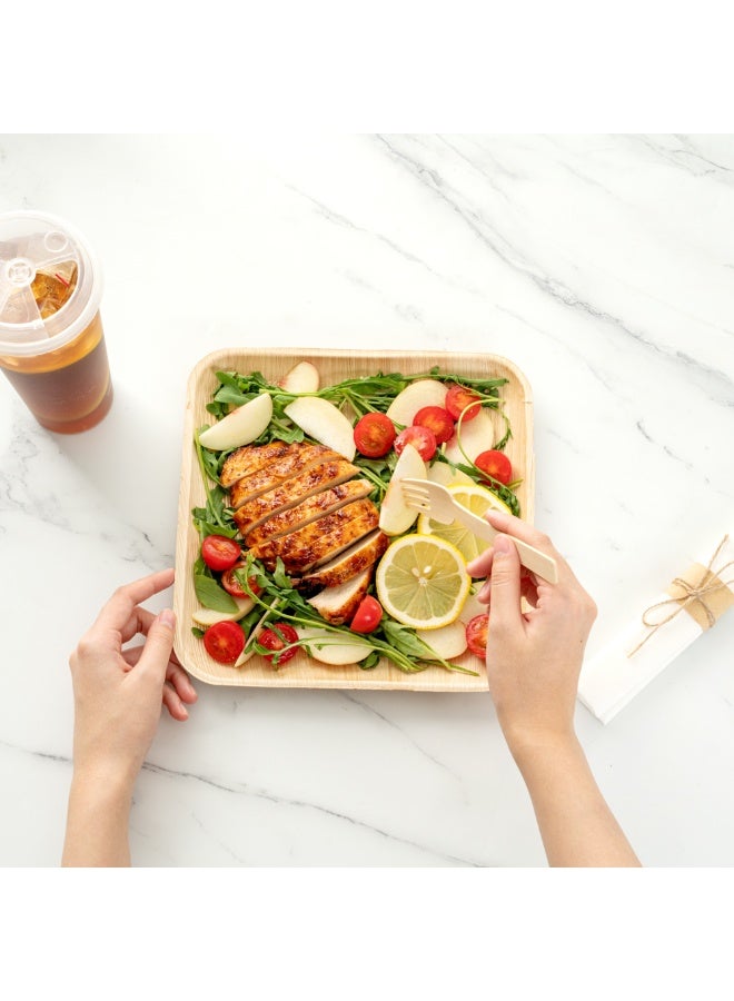 Restaurantware Indo 9.3 x 9.3 Inch Square Palm Plates, 100 Microwavable Palm Leaf Dinner Plates - Freezable, Sustainable, Areca Palm Leaf Plates, Oven-Ready, For Hot & Cold Foods - Image 4