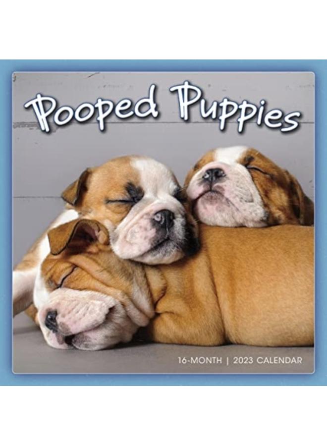 POOPED PUPPIES 