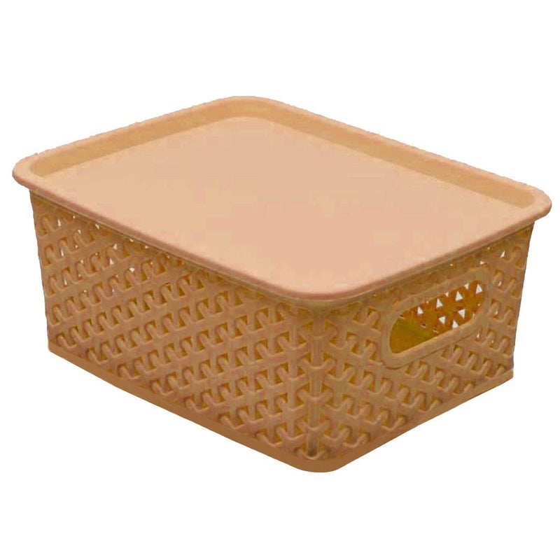 Kuber Industries Plastic Big Size Multipurpose Solitaire Storage Basket with Lid (Multi) -CTLTC10900 - Image 1