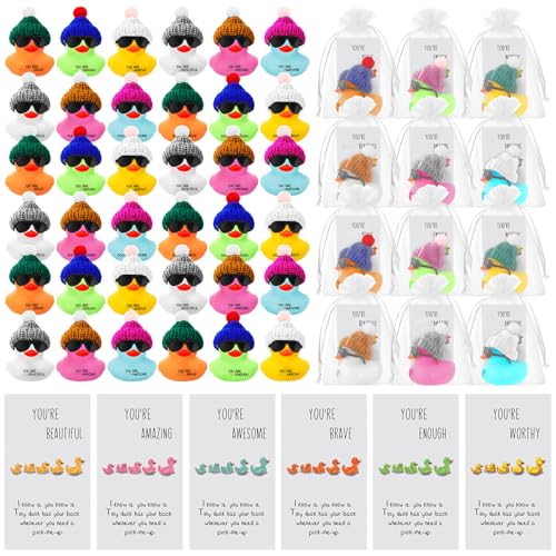 Liliful 2 Inch Rubber Ducks Bulk with Hats Glasses You Are Awesome Sign Card Employee Appreciation Gift for Friends Staff Team Coworker Exchange12 SetsColorful - Image 1