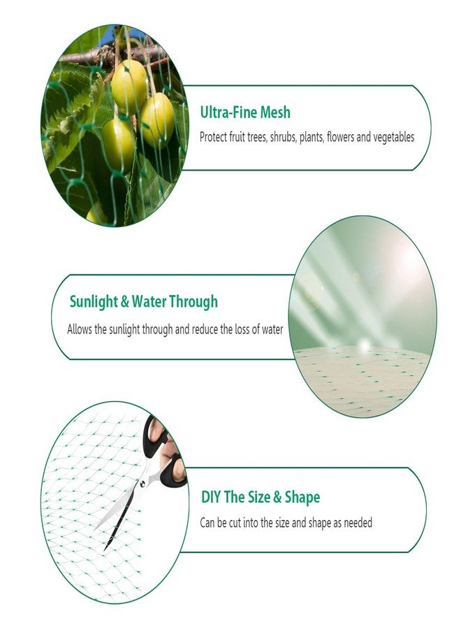 Aliagle Bird Netting for Garden Protect Vegetable Plants and Fruit Trees, Garden Net Doesn't Tangle and Reusable Fencing Protect Fruit Vegetables from Birds,Deer,Squirrels and Other Animals - Image 2