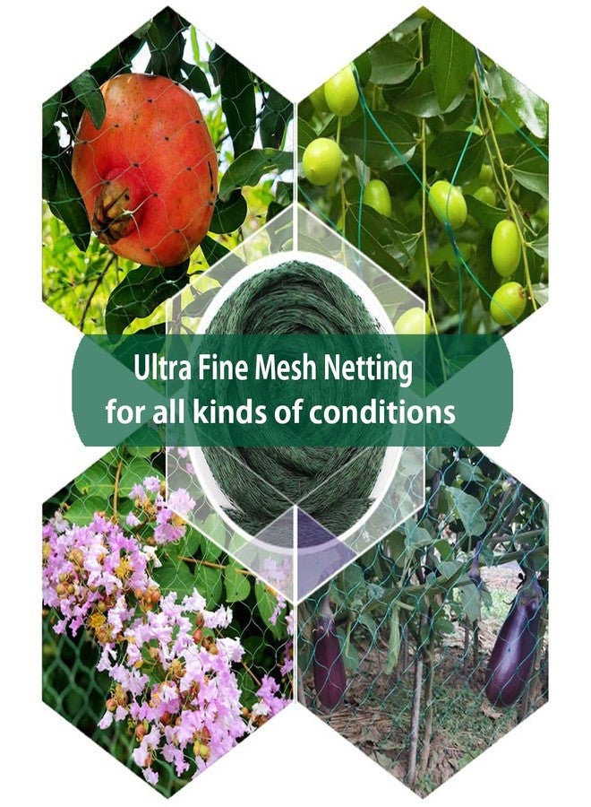 Aliagle Bird Netting for Garden Protect Vegetable Plants and Fruit Trees, Garden Net Doesn't Tangle and Reusable Fencing Protect Fruit Vegetables from Birds,Deer,Squirrels and Other Animals - Image 4