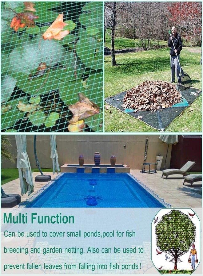 Aliagle Bird Netting for Garden Protect Vegetable Plants and Fruit Trees, Garden Net Doesn't Tangle and Reusable Fencing Protect Fruit Vegetables from Birds,Deer,Squirrels and Other Animals - Image 5
