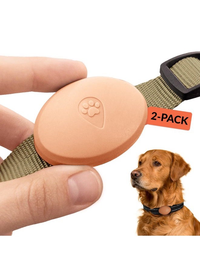 CollarDirect Waterproof AirTag Dog Collar Holder, Sturdy Alternative to AirTag Dog Collar, Fits All Width Collars… (2 Pack, Pink) - Image 1