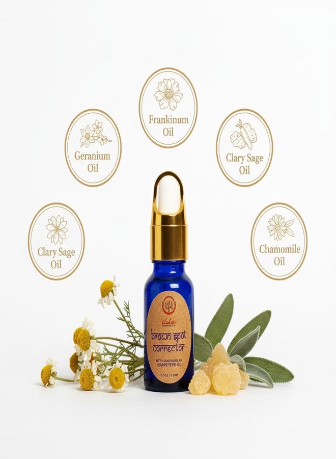 ILIKA Facial Oil with Geranium & Frankincense | Lightweight & Nourishing Face Oil for Daily Skincare | Non-Greasy Formula | 15 ml - Image 3