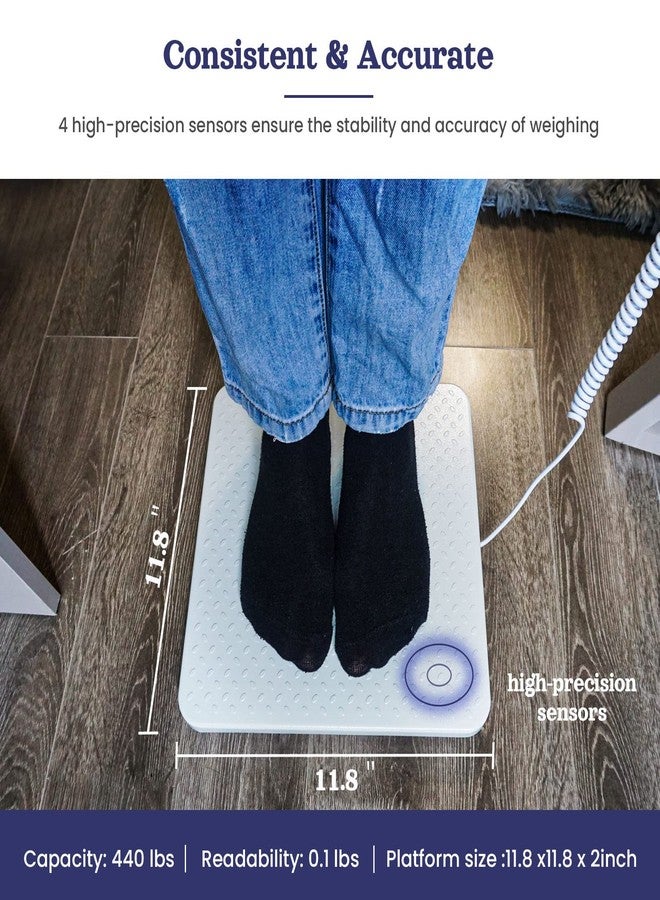 ScaleBelly Professional Physician Scale, 440 lb Home Gym Office Medical Floor Scale, High Capacity Scale for Wrestler Powerlifters - Image 2