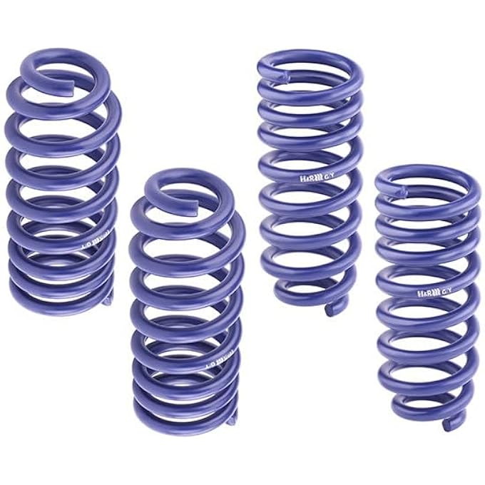 HR Suspension Set Springs Sports Spring SetsPerformance Lowering Springs 293333 Spring Set SuspensionDamping Large Blue - Image 5