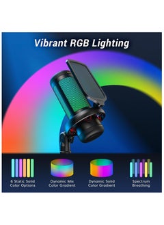 ميكروفون للألعاب، ميكروفون USB للكمبيوتر الشخصي، ميكروفون مكثف قلبي مع أوضاع RGB وسطوع قابل للتعديل، كتم الصوت السريع، التحكم في الكسب، للبث والبث والتسجيل، ميكروفون سطح المكتب PS4/5 TC310 - pzsku/Z219049F3E42828FF9BF7Z/45/_/1715338936/a6296feb-3061-4908-943a-f107d81bb9bb