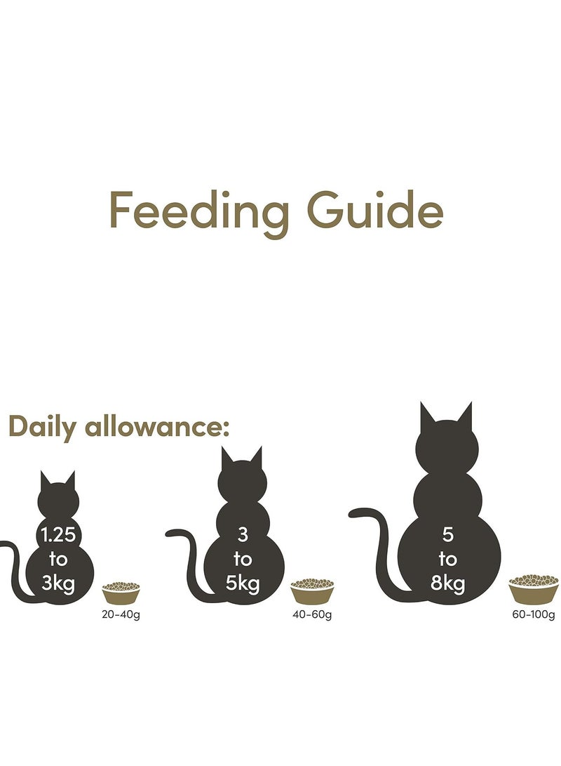 آبلاوس طعام قطط رطب بنكهة الدجاج مع الجبن للقطط البالغة 6 عبوات بوزن 70 جرام - Image 4