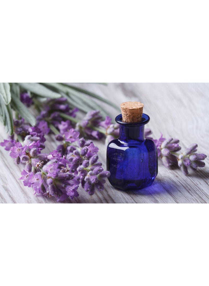 PARO OUD - Musk Lavender I 6ml I Paro Oud I Attar Oil I Pure Attar I Natural Attar I Alcohol-Free Attar I Traditional Attar I Organic Attar I Long-Lasting Scent I Arabic Perfume Oil I Alcohol-free attar - Image 1