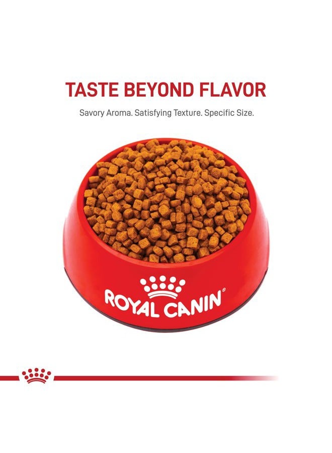ROYAL CANIN طعام جاف مخصص لسلالة جرو البودل، كيس 2.5 رطل - Image 5
