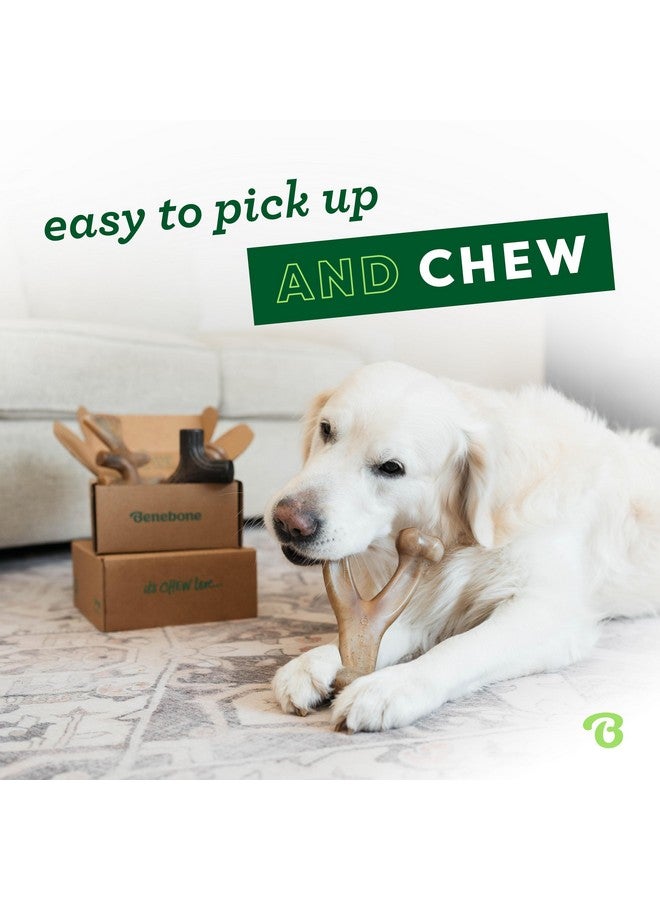 Benebone Medium 4-Pack Dog Chew Toys for Aggressive Chewers, Made in USA, 60lbs and Under - Image 2