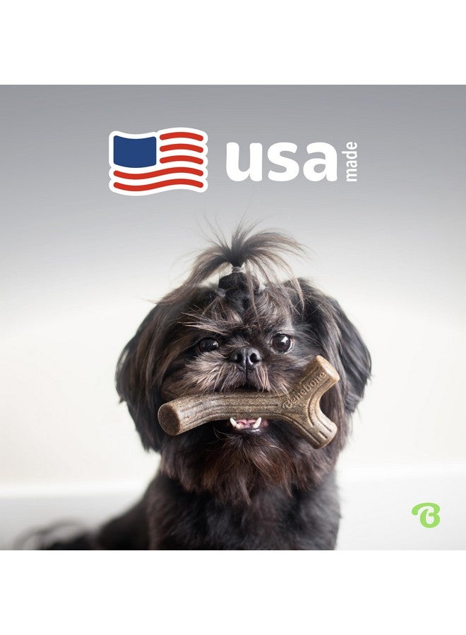 Benebone Medium 4-Pack Dog Chew Toys for Aggressive Chewers, Made in USA, 60lbs and Under - Image 5