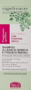 Helan Capelvenere Anti Dandruff Shampoo with Oakwood Niaouli Leaf Vegan Hair Care Solution for Sebum Control Itch Relief Scalp Health Shampoo for Greasy Hair Made in Italy Shampoos 200 ml - Image 2