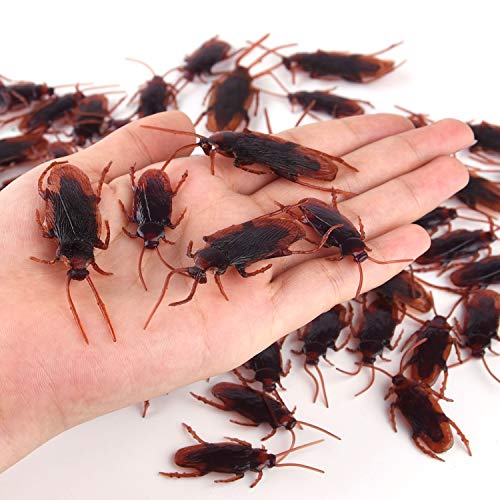 ASTARON 210 Pcs Realistic Bugs Plastic Trick Joke Toys Cockroaches Spiders Centipedes Scorpions for Halloween Party Fool's Day Decoration - Image 4