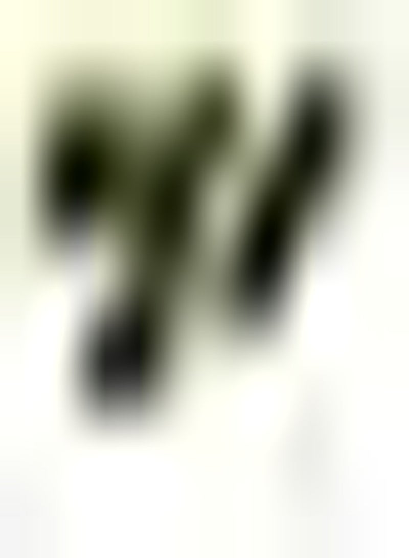 GGOOT 400pcs Sage seeds Add Color to Your Garden Suitable for Anyone Who Wants to Plant Planting Small Difficulty Simple Cultivation Fast Growing - Image 2