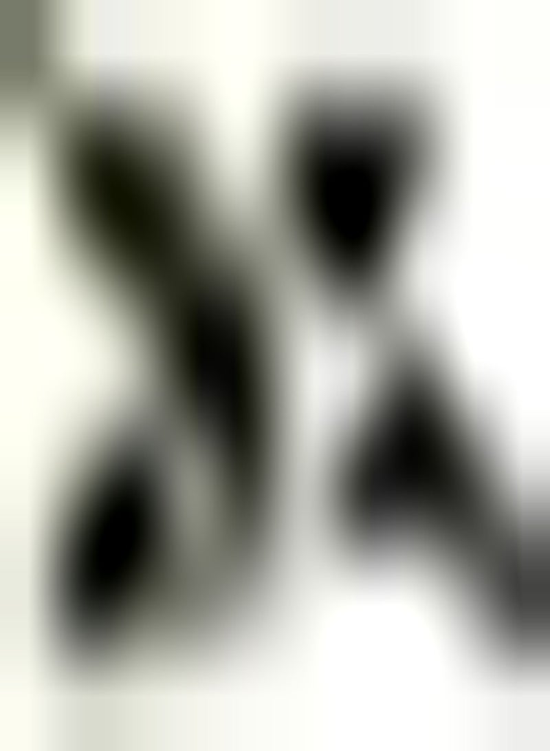 GGOOT 400pcs Sage seeds Add Color to Your Garden Suitable for Anyone Who Wants to Plant Planting Small Difficulty Simple Cultivation Fast Growing - Image 1