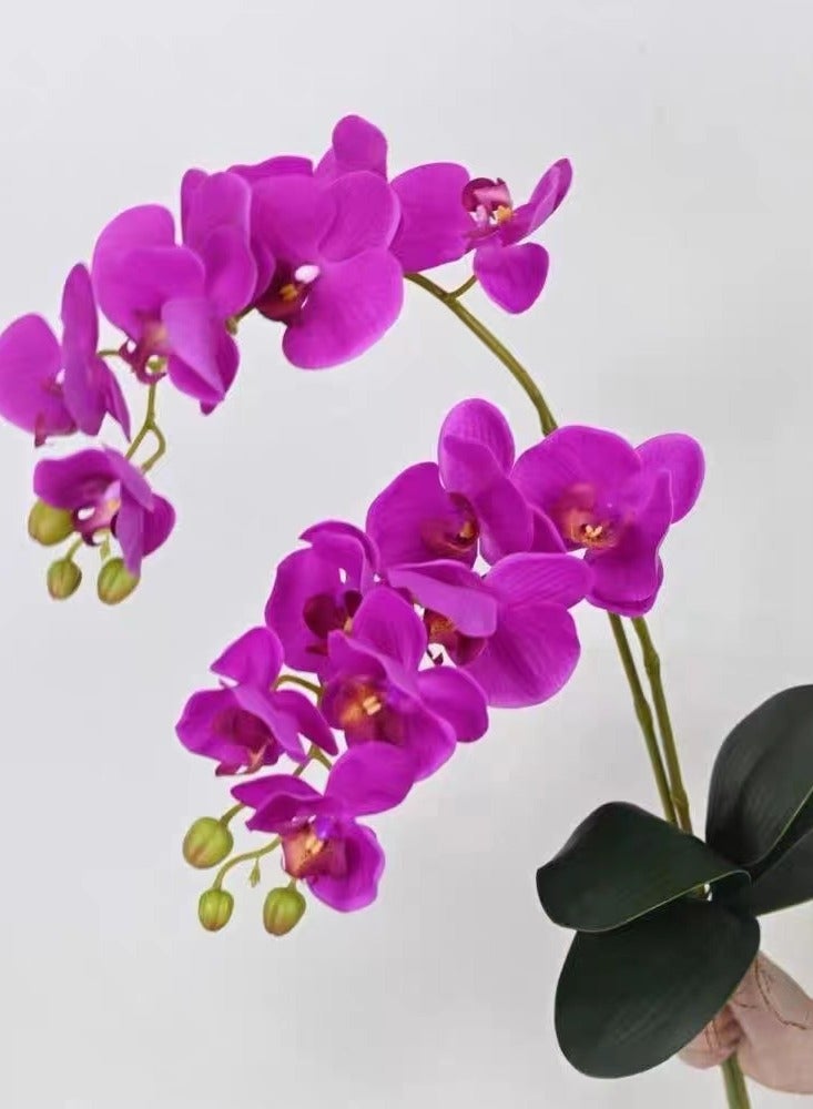 general Simulated Phalaenopsis Orchid, High end Orchid, Hu Dielan, Living Room, Flower Ins, Artificial Flower Home Decoration, Placement of Dining Table foyer - Image 1