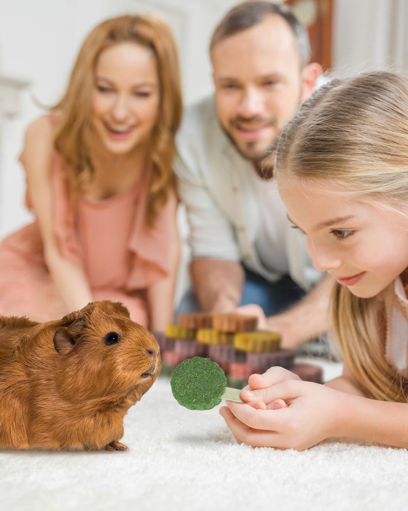 YKD Natural Timothy Hay Cookie Sticks Chew Toys for Teeth, Rotating Aluminum Alloy Chinchilla Cage Toys, Bunny Chew Treats for Rabbits, Guinea Pigs, Chinchillas (Black - Aluminum Alloy Toy) - Image 5