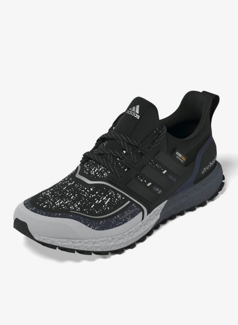 Adidas Ultraboost 1.0 Atr Shoes