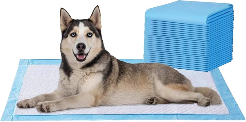 AMORITE 60x90 cm Dog Pee Pads - 25 Count Potty Training Pads for Dogs, Leak-Proof Protection & Odor Control, Perfect for Potty Training, Pet Training Pads, Pee Mat for Dogs - Image 1