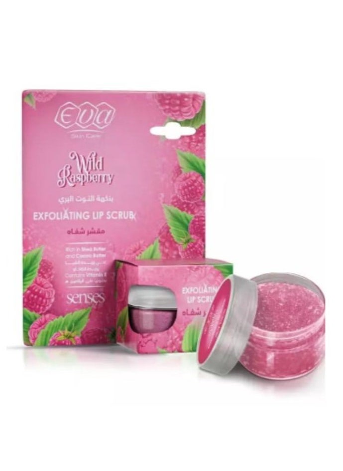 Eva Eva Skin Care Exfoliating Lip Scrub Raspberry Flavored 20 GM 
