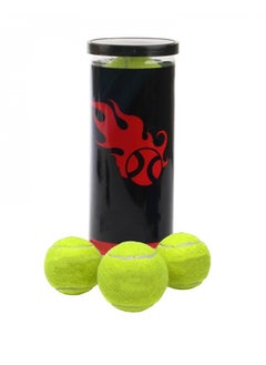 Taimi Can of 3 Paddle Tennis Balls  - Image 1