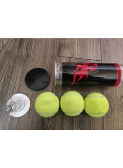 Taimi Can of 3 Paddle Tennis Balls  - Image 3
