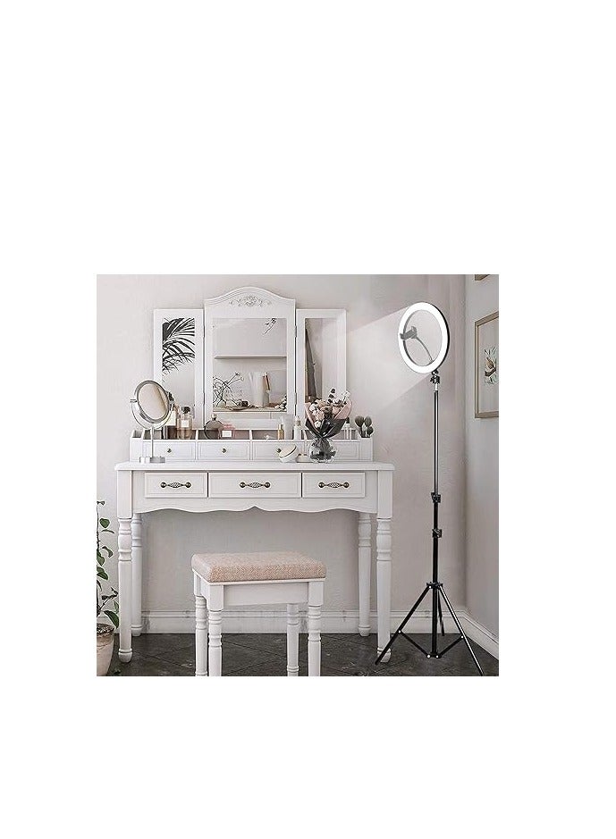 Ring Light 26cm with Stand 2m, Mobile Holder & White LED Light – Ideal for Photography & Video Recording - Image 3