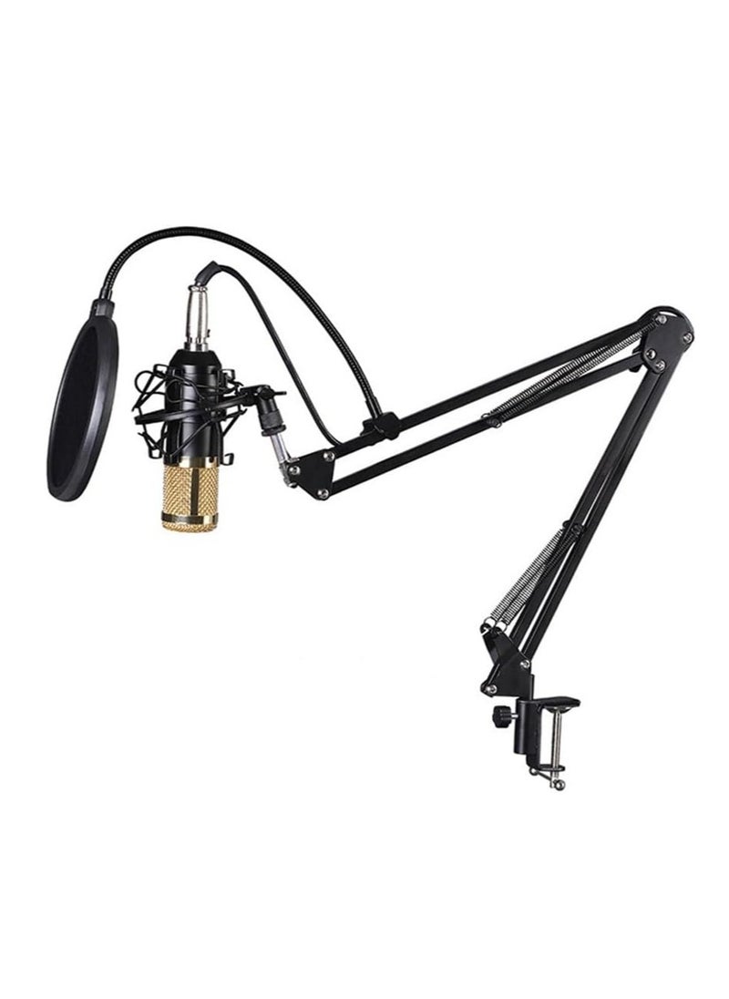 ELTRAZONE - Elite V9 Sound Card & BM800 Pro Microphone Bundle for Advanced Broadcasting - Image 1