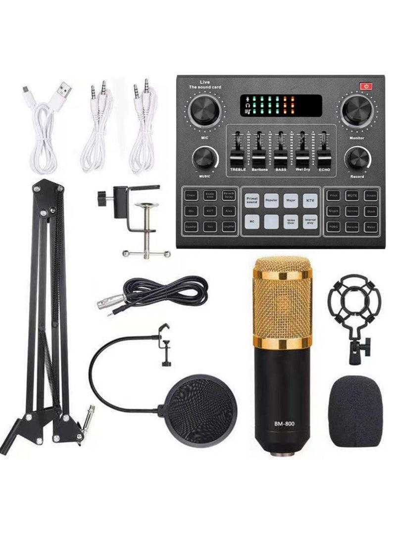 ELTRAZONE - Elite V9 Sound Card & BM800 Pro Microphone Bundle for Advanced Broadcasting - Image 1