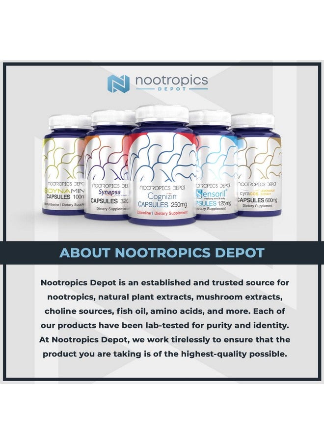 Nootropics Depot - Micromag Magnesium Capsules ; 625Mg ; 90 Count ; Contains 200Mg Of Elemental Magnesium - Image 1