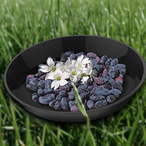 DUNPUTE 6 Pack Plant Saucer 4 6 8 10 12 14 16 18 20 22 Inch Plastic Plant Tray, Sturdy and Durable Flower Pot Container Accessories Plant Pot Saucers for Indoor and Outdoor (12 Inch, Black) - Image 4