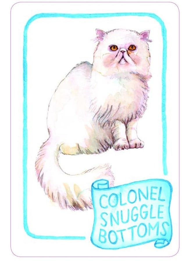 Chronicle Books Cat Lady Old Maid (Cat Gifts for Cat Lovers, Cat Themed Card Game)  - Image 3