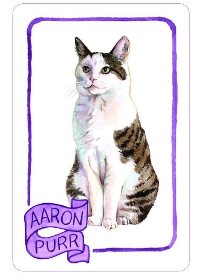 Chronicle Books Cat Lady Old Maid (Cat Gifts for Cat Lovers, Cat Themed Card Game)  - Image 1