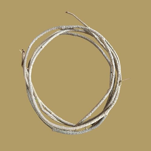 RUKDA® Fresh Neem Giloy Sticks – A1 Quality Guduchi Stems for Ayurvedic & Herbal Wellness – 100 inch Long, Fresh & Handpicked - Image 2