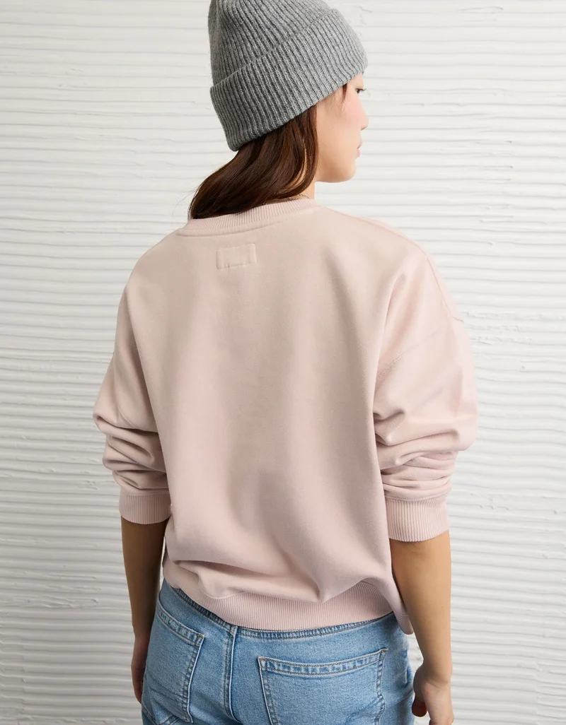 American Eagle AE Velvet Graphic Crewneck Sweatshirt