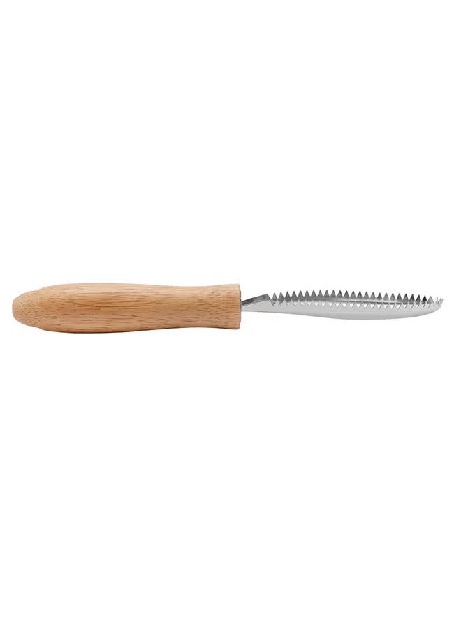 DELCASA Delcasa Fish Scale Scraper With Wooden Handle DC2782 - Image 1