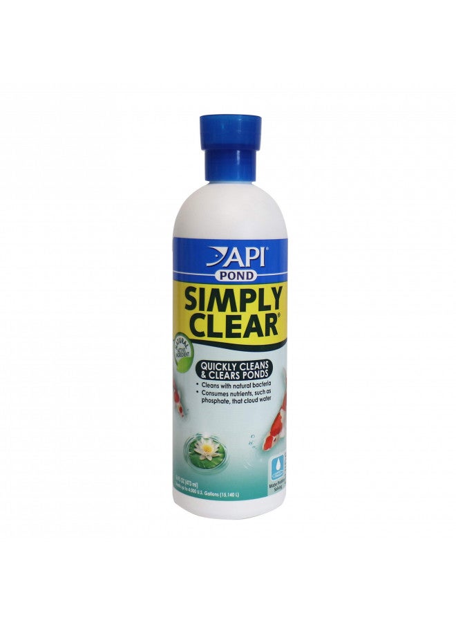 API POND SIMPLY CLEAR Pond Water Clarifier 16-Ounce Bottle (248B) - Image 1
