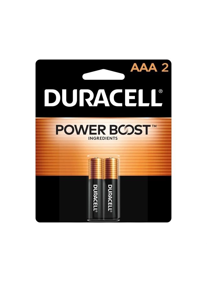 Duracell Coppertop AAA Batteries with Power Boost Ingredients, 2 Count Pack Triple A Battery with Long-lasting Power, Alkaline AAA Battery for Household and Office Devices
