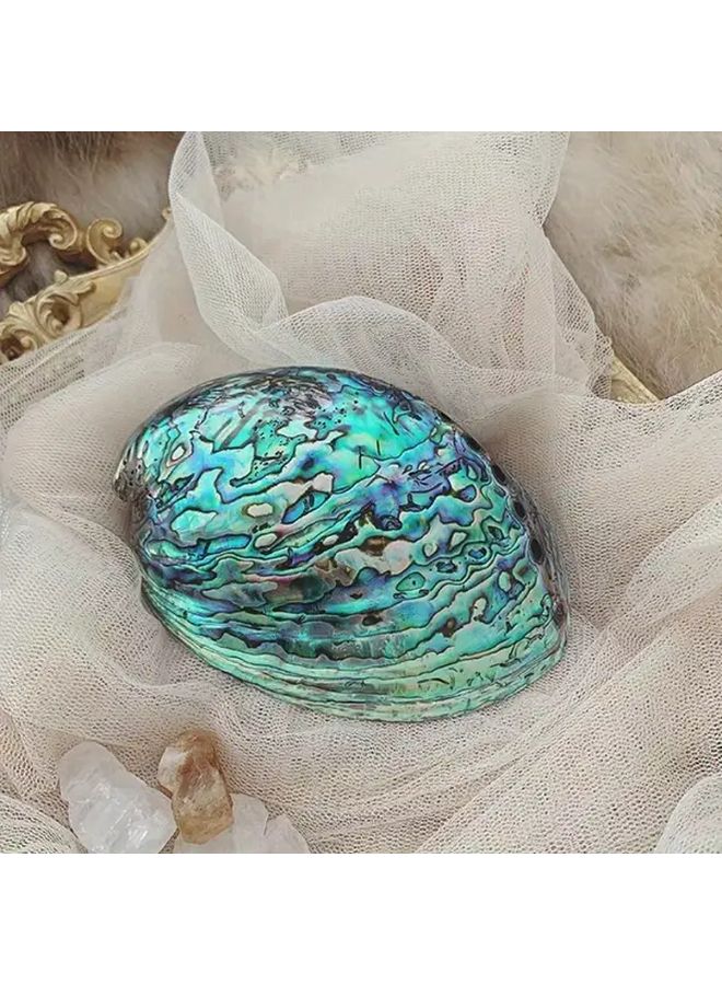 Large Abalone Shell Natural Blue Marble Pattern Aquarium Home Decor Fish Tank - Image 4