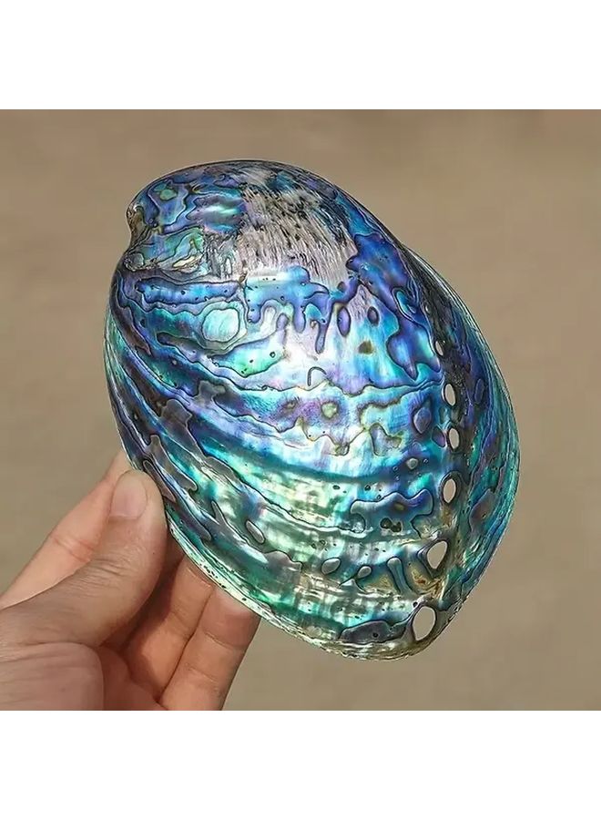 Large Abalone Shell Natural Blue Marble Pattern Aquarium Home Decor Fish Tank - Image 2