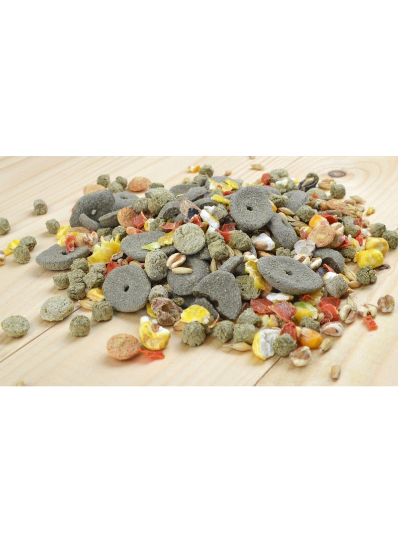 غريزو أرنب جريزو كامل - بدون حبيبات أبطال مقرمشة-علف كامل 15 كجم للأرانب القزمة والقوارض-مزيج غني بالألياف مع الخضار والبذور والفيتامينات - صنع في بلجيكا - Image 4