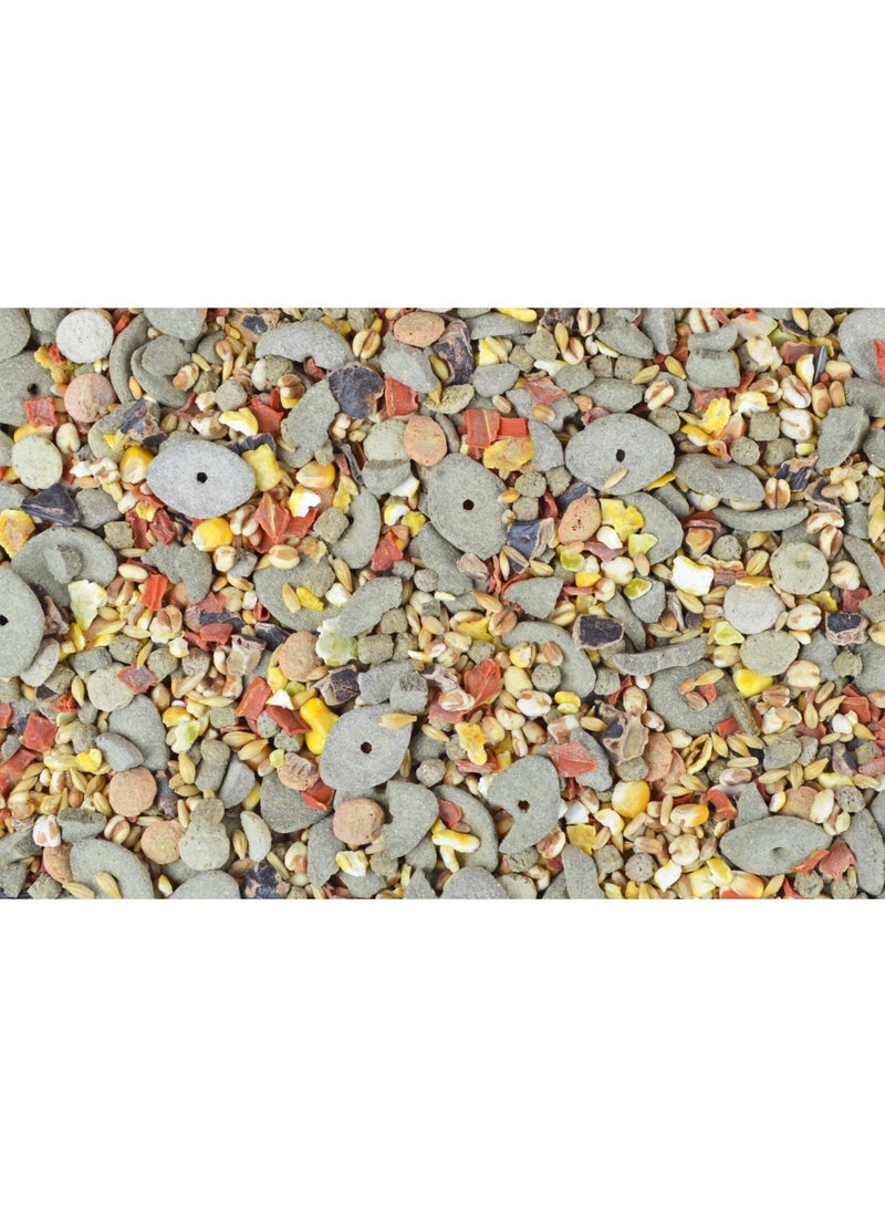 غريزو أرنب جريزو كامل - بدون حبيبات أبطال مقرمشة-علف كامل 15 كجم للأرانب القزمة والقوارض-مزيج غني بالألياف مع الخضار والبذور والفيتامينات - صنع في بلجيكا - Image 2