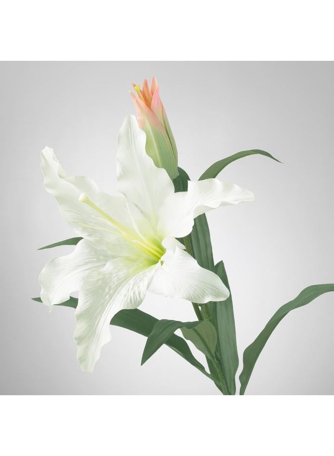 Zaboon Artificial flower, Lily/white, 85 cm - Image 5
