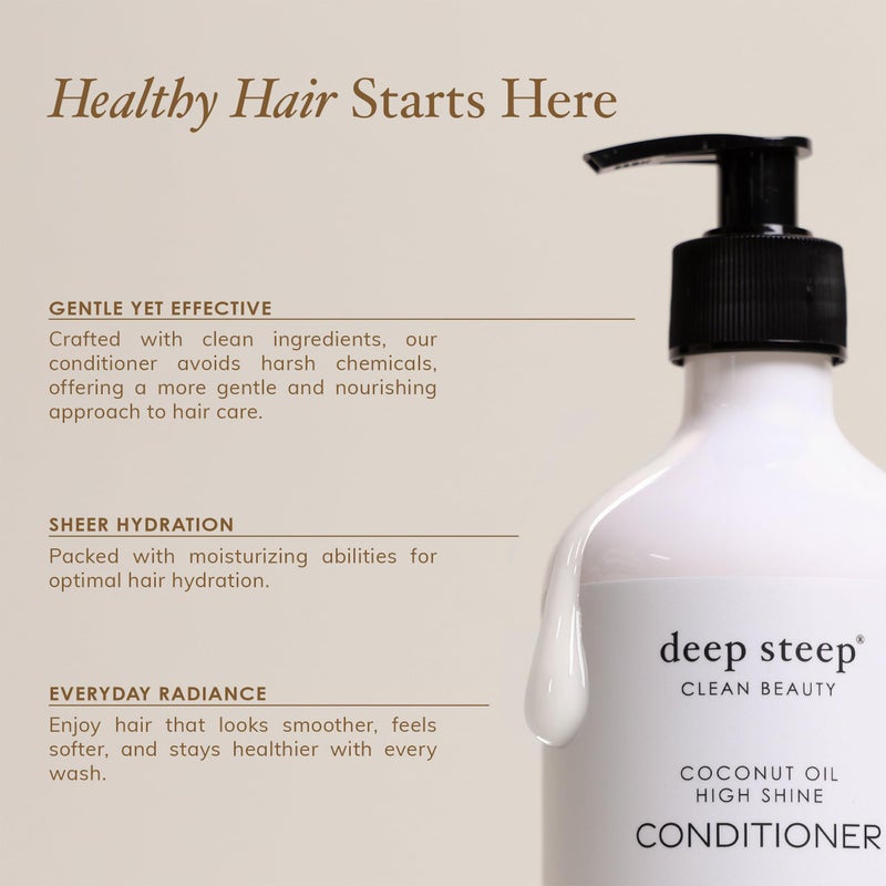 Deep Steep Argan Oil Hydrating Volume Conditioner, 17 oz â€“ Moisturizing Conditioner with Aloe Vera, Marula Oil, Rice Protein & Glycerin â€“ Silicone-Free, Vegan, Clean Beauty Hair Care, Silky Hair - Image 3