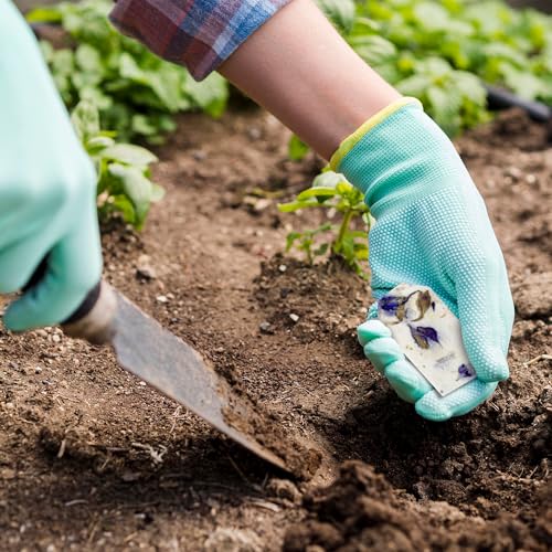Seed Bloom 50Pcs Plantable Purple Seed Paper Tags with Wildflower Seeds, Writable & Plantable Present for Moms, Plant Lover, Teachers, Ideal for Weddings, Baby Shower Favors, Memorial, & Celebrations - Image 4